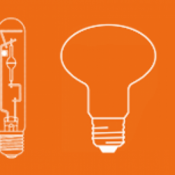 Find a light bulb online browse by the shape or size of the light bulb